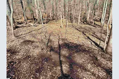 0 Highway 28 Highway, McCormick, SC 29620 - Photo 43