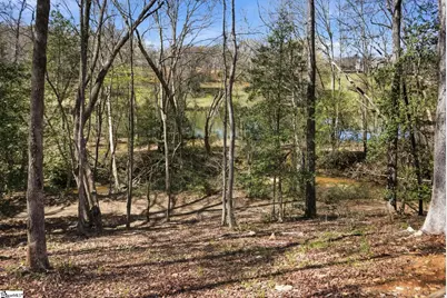 40 Silesian Court, Pelzer, SC 29669 - Photo 33