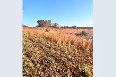 00 Rocky River Ame Church Road, Abbeville, SC 29622 - Photo 9