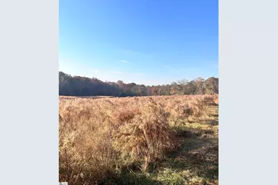 00 Rocky River Ame Church Road, Abbeville, SC 29622 - Photo 13