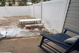 38 Sunrif Ct, Greer, SC 29561 - Photo 15