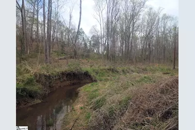 Boyds Mill Pond Road, Laurens, SC 29360 - Photo 15