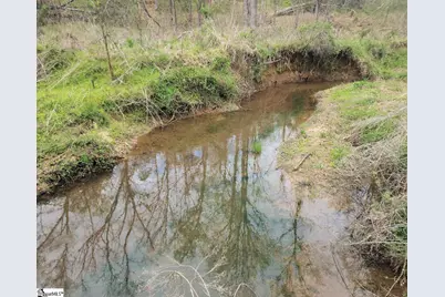 Boyds Mill Pond Road, Laurens, SC 29360 - Photo 13