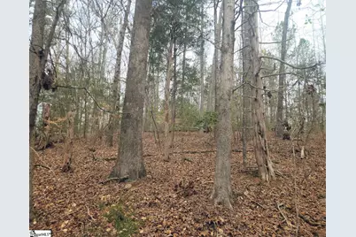 Boyds Mill Pond Road, Laurens, SC 29360 - Photo 5