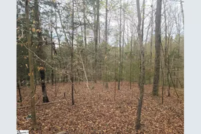 Boyds Mill Pond Road, Laurens, SC 29360 - Photo 9