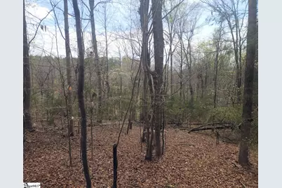 Boyds Mill Pond Road, Laurens, SC 29360 - Photo 17