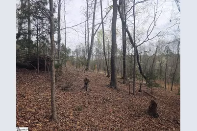 Boyds Mill Pond Road, Laurens, SC 29360 - Photo 17