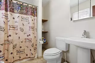 305 Vine Hill Rd, Greenville, SC 29607 - Photo 23