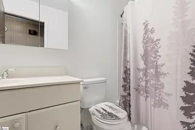 305 Vine Hill Road, Greenville, SC 29607 - Photo 31