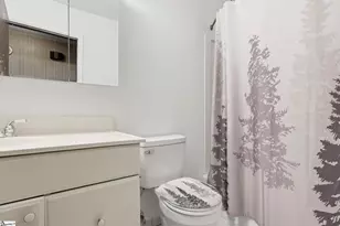 305 Vine Hill Rd, Greenville, SC 29607 - Photo 31