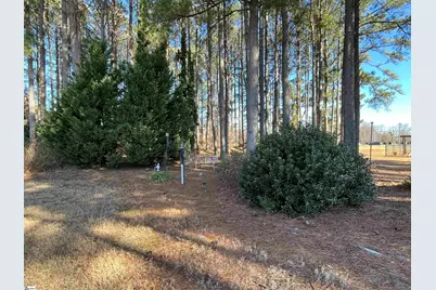 10 Hanging Moss Lane, Greenville, SC 29615 - Photo 27