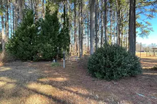 10 Hanging Moss Ln, Greenville, SC 29615 - Photo 27