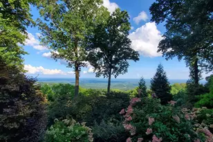 5 Falcons Ledge Dr, Landrum, SC 29356 - Photo 43