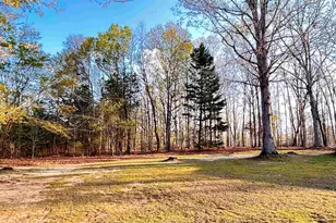 173 Bolt Rd, Gray Court, SC 29645 - Photo 23