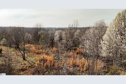 647 Blackwell Road, Greer, SC 29651 - Photo 9