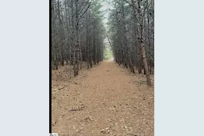 189 Farmers Hill Road, Liberty, SC 29657 - Photo 3