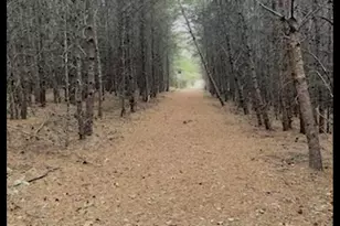 189 Farmers Hill Rd, Liberty, SC 29657 - Photo 3