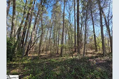 102 Pine Drive, Taylors, SC 29687 - Photo 17