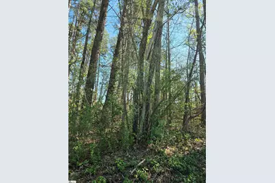 102 Pine Drive, Taylors, SC 29687 - Photo 1