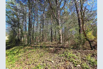 102 Pine Drive, Taylors, SC 29687 - Photo 15