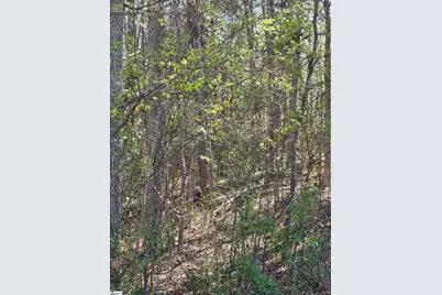 102 Pine Drive, Taylors, SC 29687 - Photo 9