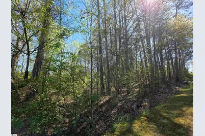 102 Pine Drive, Taylors, SC 29687 - Photo 11