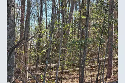 102 Pine Drive, Taylors, SC 29687 - Photo 7