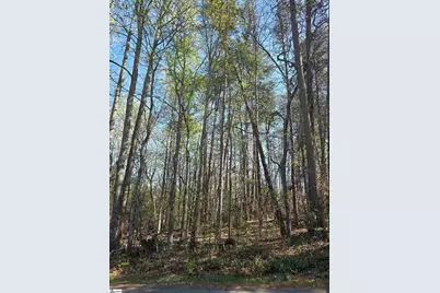 102 Pine Drive, Taylors, SC 29687 - Photo 5