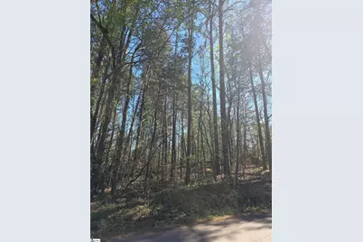 102 Pine Drive, Taylors, SC 29687 - Photo 3