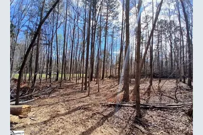 795 Powers Road, Laurens, SC 29360 - Photo 3