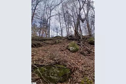 795 Powers Road, Laurens, SC 29360 - Photo 5