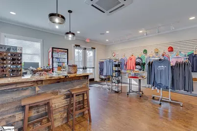 203 Snead Lane, Westminster, SC 29693 - Photo 49