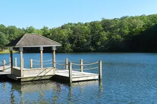 126 Columbine Way, Cleveland, SC 29635 - Photo 49