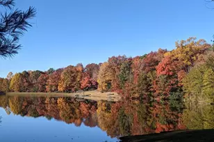 126 Columbine Way, Cleveland, SC 29635 - Photo 47