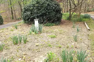 213 Anthony Rd, Pickens, SC 29671 - Photo 29