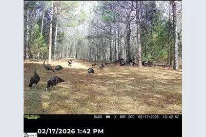 1007 Oneal Street, Belton, SC 29627 - Photo 5