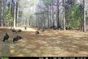 1007 O Neal St, Belton, SC 29627 - Photo 5