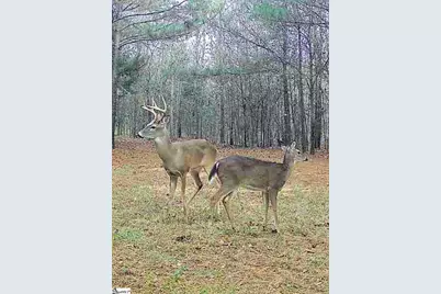 1007 Oneal Street, Belton, SC 29627 - Photo 3