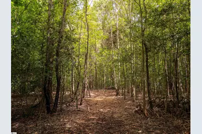 00 Pinetree Road, Townville, SC 29689 - Photo 11