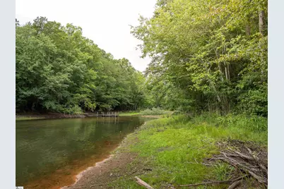 00 Pinetree Road, Townville, SC 29689 - Photo 7