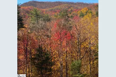 209 Falcon Crest Way, Pickens, SC 29671 - Photo 9