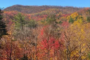 209 Falcon Crest Way, Pickens, SC 29671 - Photo 9