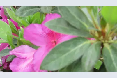 317 Hazel Drive, Clinton, SC 29325 - Photo 11