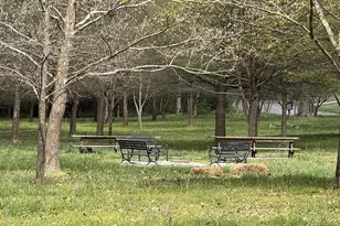 203 Aberdare Ln, Greenville, SC 29615 - Photo 45