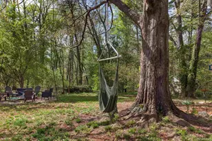 313 Tubbs Mountain Rd, Travelers Rest, SC 29690 - Photo 39