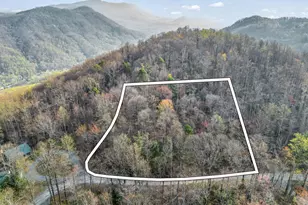 Tbd Mountain Lakes Dr, Tryon, NC 28782 - Photo 1