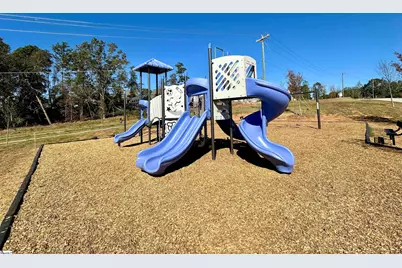 103 Timber Falls Drive, Greenville, SC 29607 - Photo 9