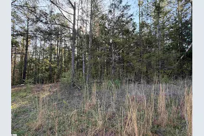 296 Cheeks Circle, Gray Court, SC 29645 - Photo 9