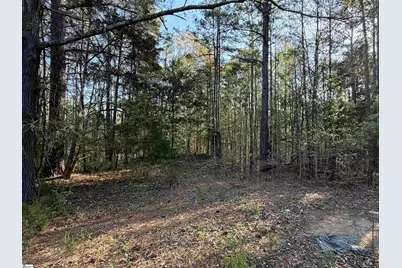 296 Cheeks Circle, Gray Court, SC 29645 - Photo 5