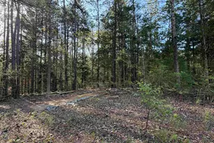 296 Cheeks Cir, Gray Court, SC 29645 - Photo 1